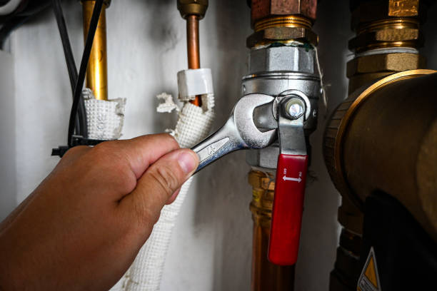 Best Water Leak Repair  in Munster, IN